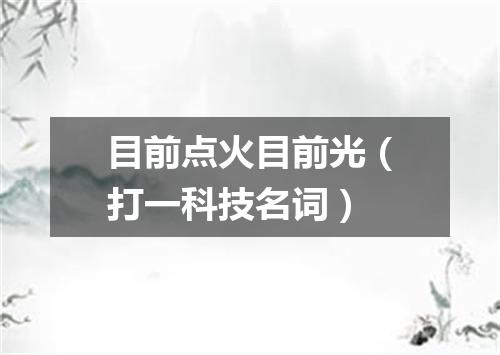 目前点火目前光（打一科技名词）