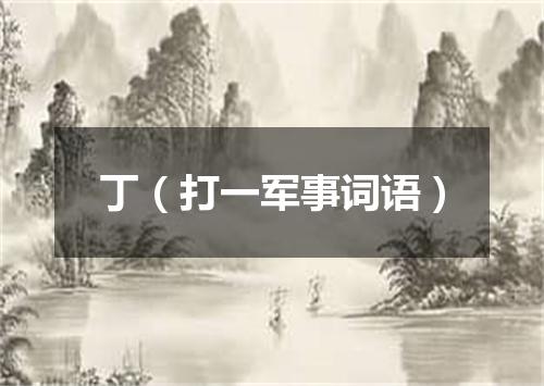 丁（打一军事词语）