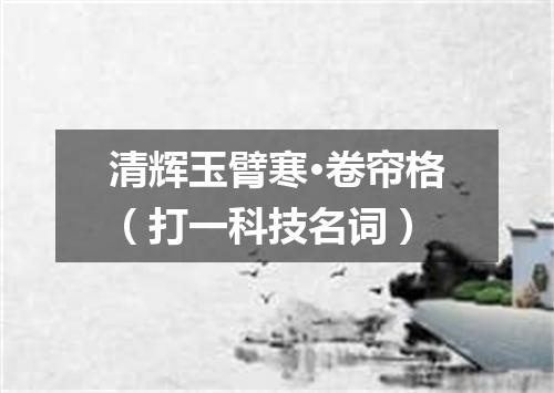 清辉玉臂寒·卷帘格（打一科技名词）