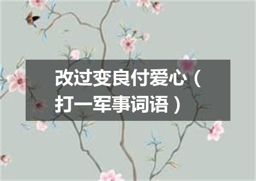 改过变良付爱心（打一军事词语）
