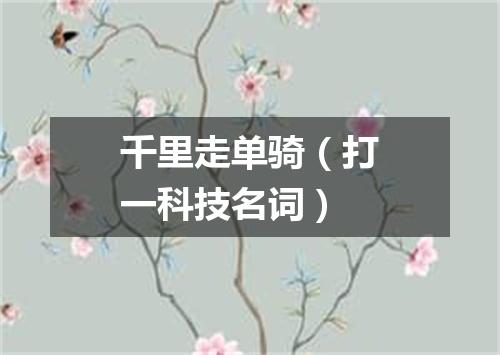 千里走单骑（打一科技名词）
