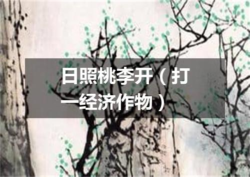 日照桃李开（打一经济作物）