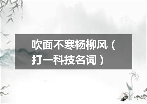 吹面不寒杨柳风（打一科技名词）
