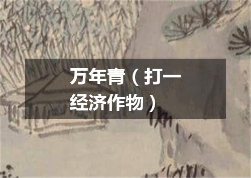 万年青（打一经济作物）