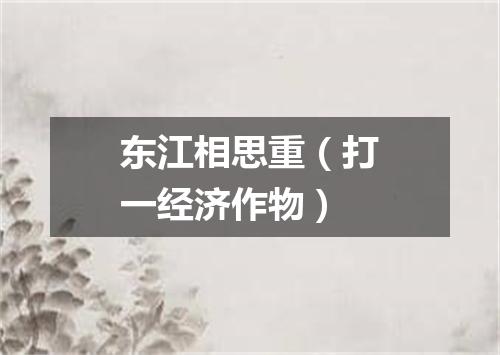 东江相思重（打一经济作物）