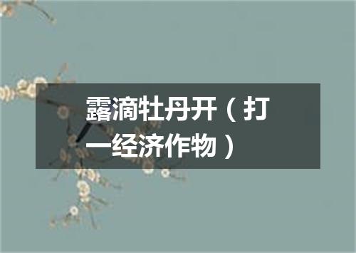 露滴牡丹开（打一经济作物）