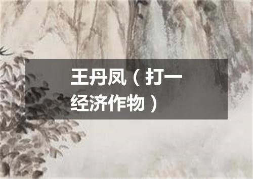 王丹凤（打一经济作物）
