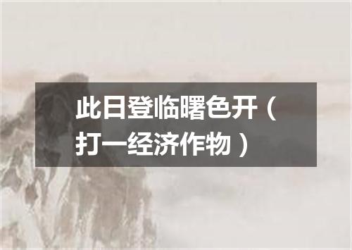此日登临曙色开（打一经济作物）