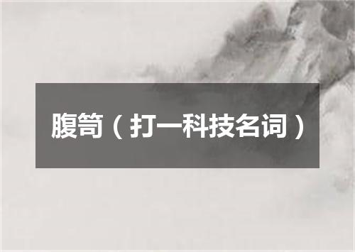 腹笥（打一科技名词）