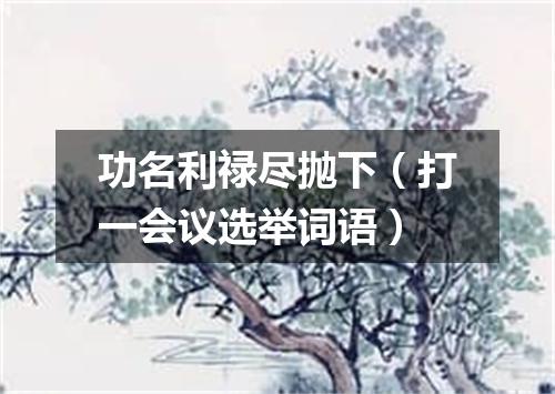 功名利禄尽抛下（打一会议选举词语）
