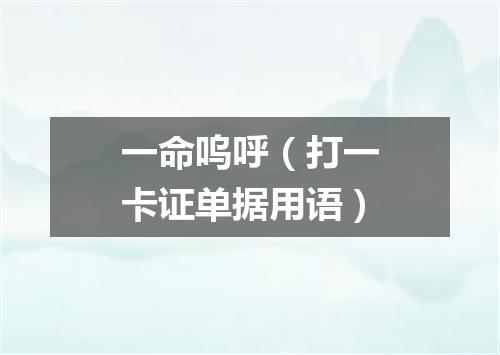 一命呜呼（打一卡证单据用语）
