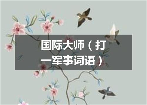国际大师（打一军事词语）