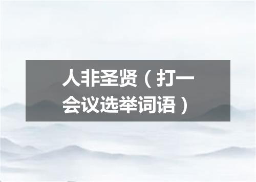 人非圣贤（打一会议选举词语）