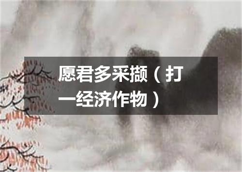 愿君多采撷（打一经济作物）