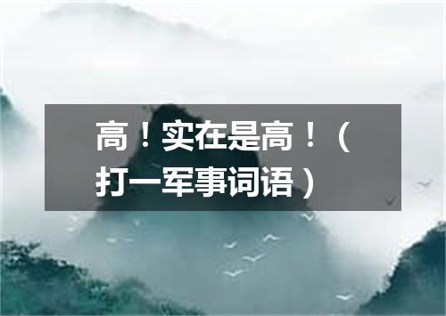 高！实在是高！（打一军事词语）