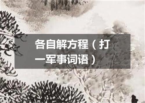 各自解方程（打一军事词语）