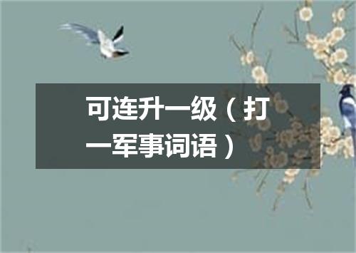 可连升一级（打一军事词语）