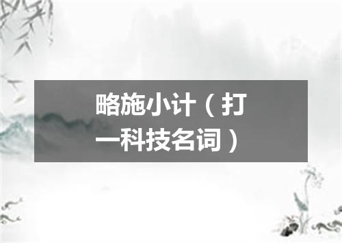 略施小计（打一科技名词）