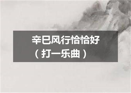 辛巳风行恰恰好（打一乐曲）