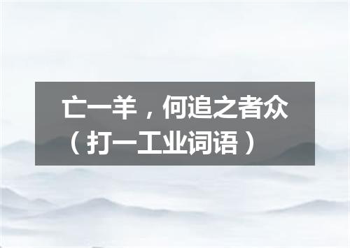 亡一羊，何追之者众（打一工业词语）