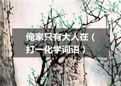俺家只有大人在（打一化学词语）