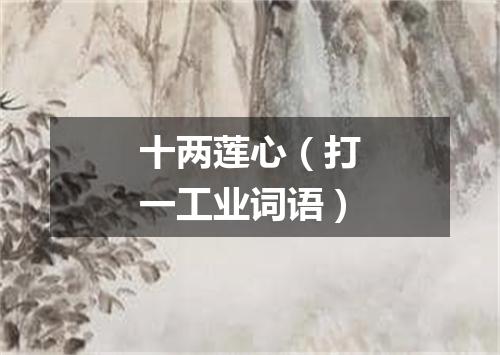 十两莲心（打一工业词语）
