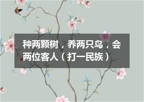 种两颗树，养两只鸟，会两位客人（打一民族）