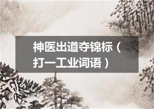 神医出道夺锦标（打一工业词语）