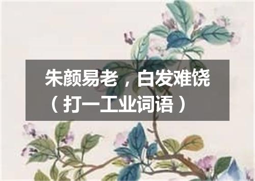 朱颜易老，白发难饶（打一工业词语）