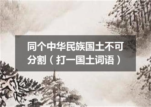 同个中华民族国土不可分割（打一国土词语）