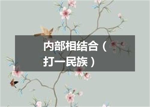 内部相结合（打一民族）
