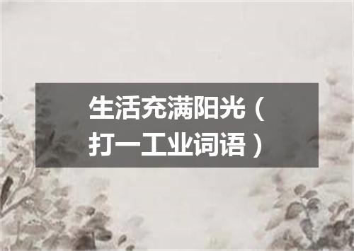 生活充满阳光（打一工业词语）