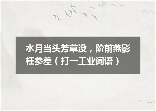 水月当头芳草没，阶前燕影枉参差（打一工业词语）