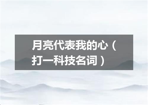 月亮代表我的心（打一科技名词）