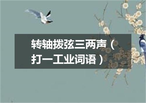 转轴拨弦三两声（打一工业词语）