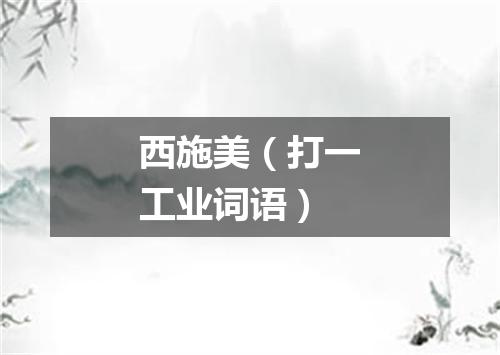西施美（打一工业词语）