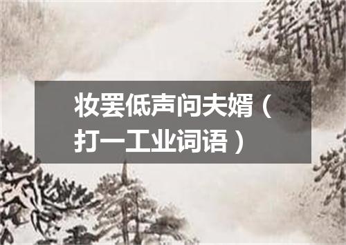妆罢低声问夫婿（打一工业词语）
