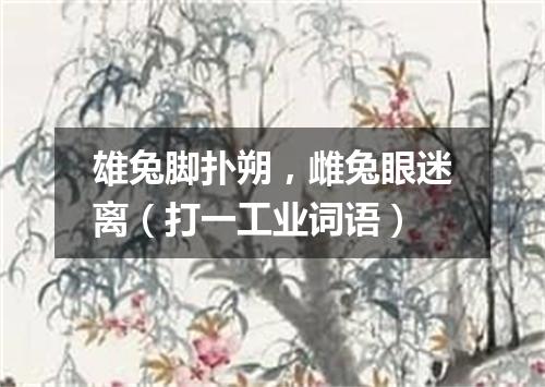 雄兔脚扑朔，雌兔眼迷离（打一工业词语）