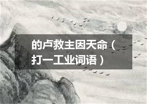 的卢救主因天命（打一工业词语）