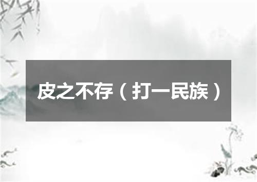 皮之不存（打一民族）