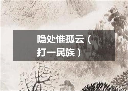 隐处惟孤云（打一民族）