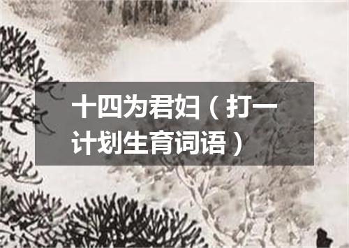 十四为君妇（打一计划生育词语）