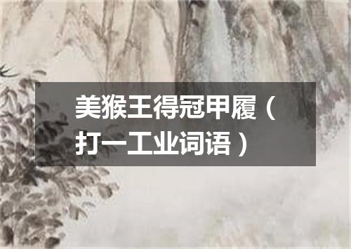 美猴王得冠甲履（打一工业词语）