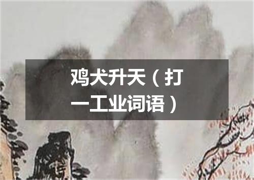 鸡犬升天（打一工业词语）