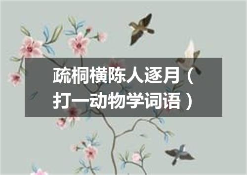 疏桐横陈人逐月（打一动物学词语）