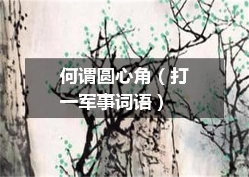 何谓圆心角（打一军事词语）