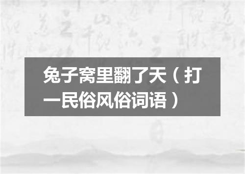 兔子窝里翻了天（打一民俗风俗词语）