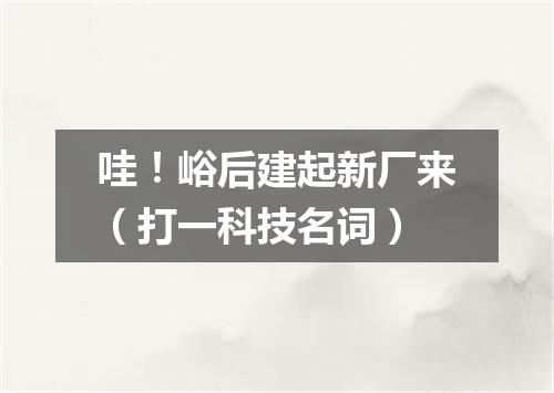 哇！峪后建起新厂来（打一科技名词）