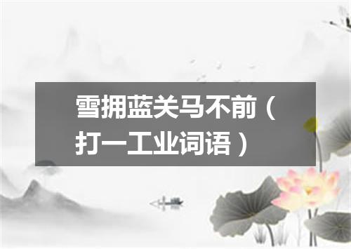 雪拥蓝关马不前（打一工业词语）