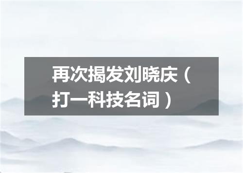 再次揭发刘晓庆（打一科技名词）
